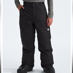 The North Face Freedom Insulated Ski Snow Pants NWT
